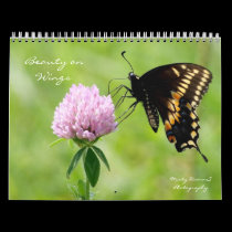 Beauty on Wings 2013 Calendar calendars