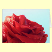 Beauty or Beast? cards