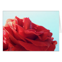 Beauty or Beast? cards by Rainmountain Beauty or Beast? cards