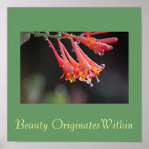 Beauty Originates Within Poster