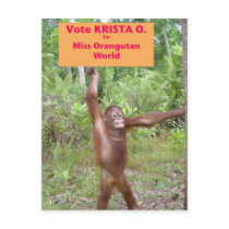 Beauty Pageant Activist Post Cards