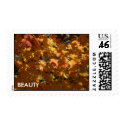Beauty Postage Stamps & Note Cards