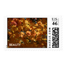 Beauty Postage Stamps & Note Cards