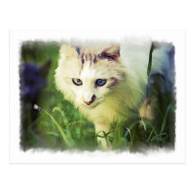 'Beauty' Postcard