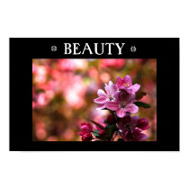 Beauty posters