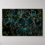 beauty poster