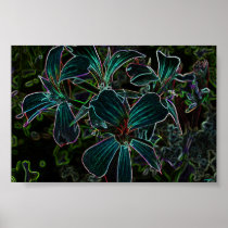 beauty poster
