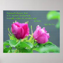 Beauty Poster