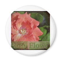 beauty  rose magnets