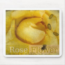 beauty  rose mousepads