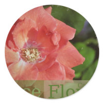 beauty  rose stickers