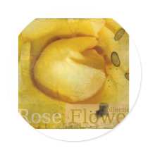 beauty  rose stickers