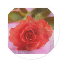 beauty  rose stickers