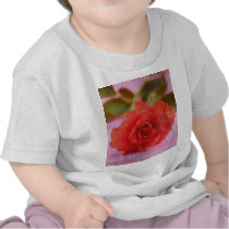 beauty  rose t-shirts