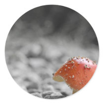 Beauty Shroom Round Stickers
