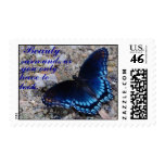 Beauty Surrounds Us Stamp