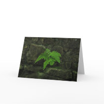Beauty Survives Greeting Card