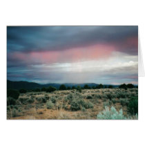 BEAUTY & THE STORM cards by Hambrock BEAUTY & THE STORM cards