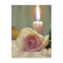 Beauty treatment-pink rose and candle post cards