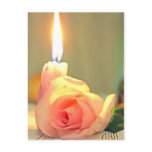Beauty treatment-pink rose and candle postcards