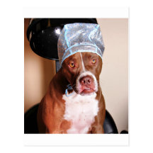 Beauty treatment post cards