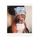 Beauty treatment post cards