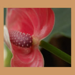 Beauty Unfolding posters