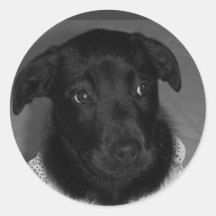 beauty Violet Lab Round Sticker