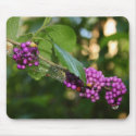 Beautyberry - Verbena Berry with Dew mousepads by moonrisings Beautyberry - Verbena Berry with Dew mousepads