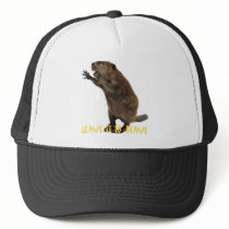 beaver[1] hats
