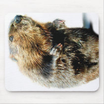 BEAVER ANIMAL TALKING mousepads
