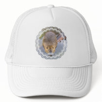 Beaver Baseball Hat 