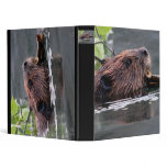 beaver 3 ring binder