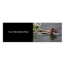 beaver business card