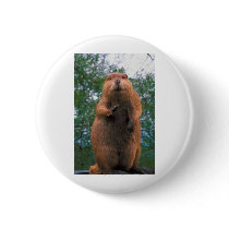 Beaver Pin