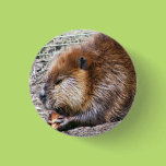 Beaver Button