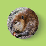 Beaver Pin