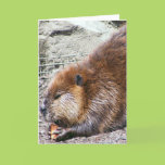 Beaver Greeting Cards