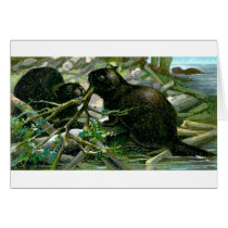 Beaver Greeting Cards