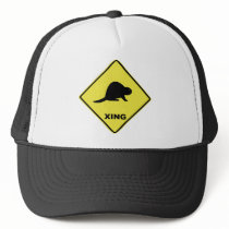 Beaver crossing mesh hat