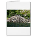 beaver dam greeting cards