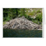 beaver dam greeting card