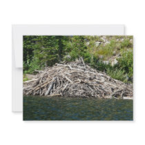 beaver dam invitations