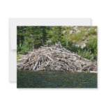 beaver dam personalized invitations