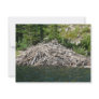beaver dam personalized invitations