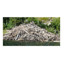 beaver dam custom photo card