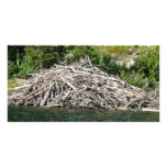beaver dam custom photo card