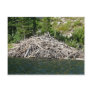beaver dam postcard