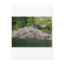 beaver dam post cards