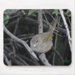 Beaver Dam Slough Fauna Birds Aves Animals Mousepads